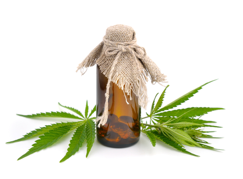 Driving fervour about balance cbd oil and their recuperating properties                           